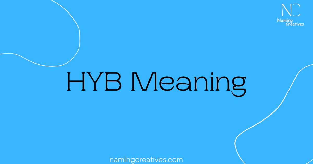 HYB Meaning
